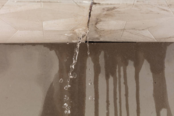 Professional Water Damage Repair technician working in Clarkrange, TN